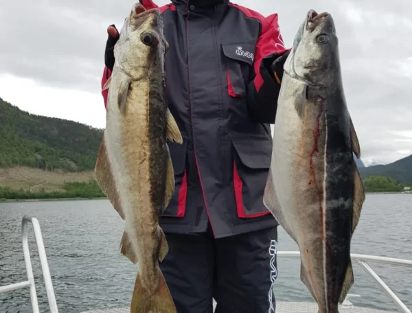 mai_8_20190603_1498227873