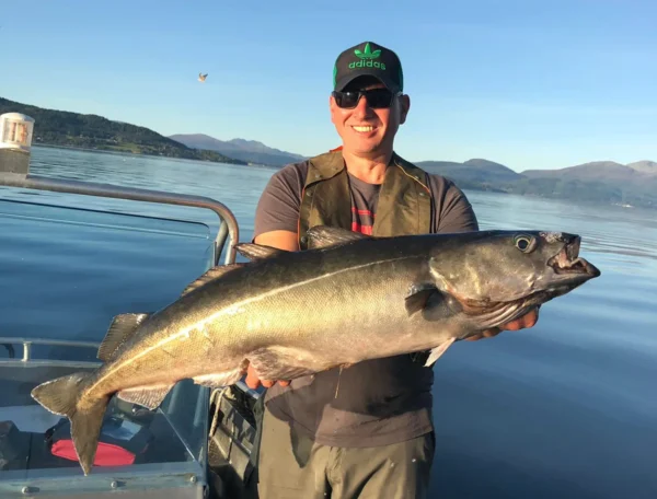 september_13_20190930_1379288451