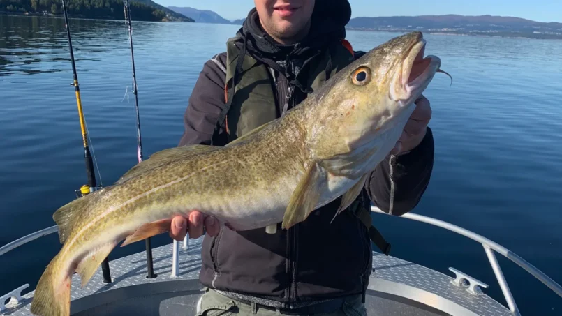 september_17_20190930_1255863328