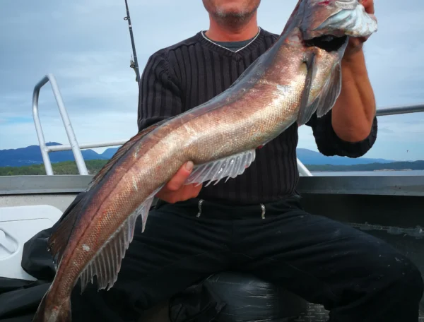 september_2_20180913_1682530876