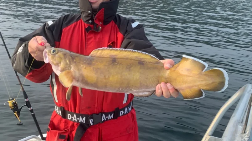 september_2_20190930_1829069898