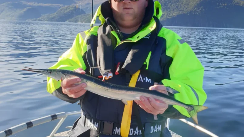 september_3_20190930_1431352234