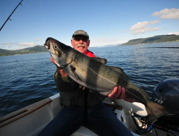 tour_2_4_20190710_1646609362