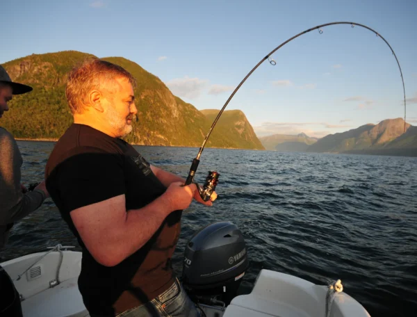 Rute mit Biss in NOrwegen