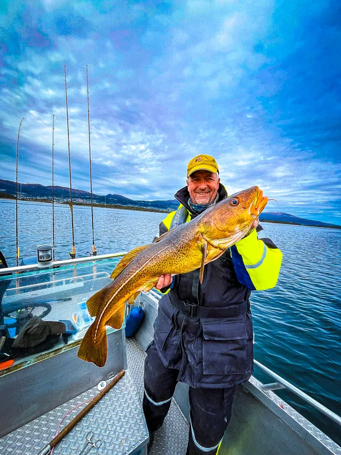 Angeln im Romsdalsfjord auf Dorsch