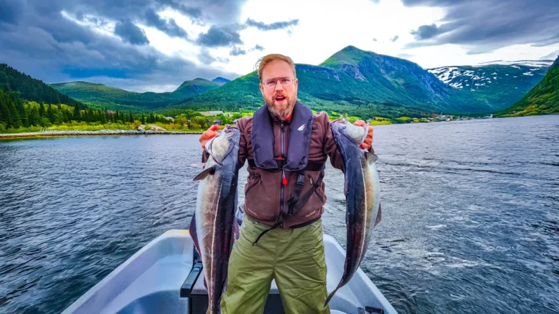 Romsdalfjord angeln Köhler Norwegen
