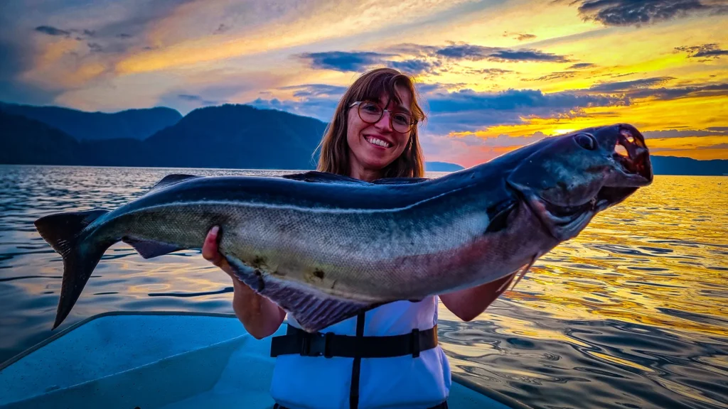 Seelachs am Romsdalfjord