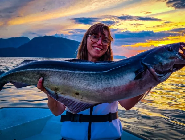 Seelachs am Romsdalfjord