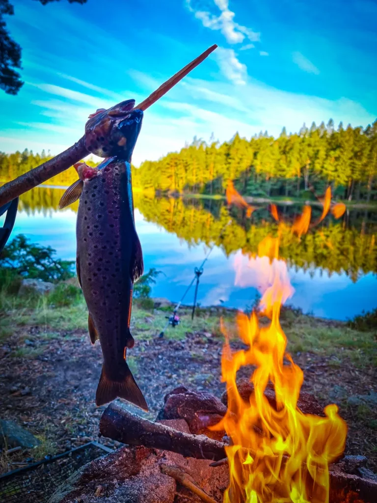 Angelreise Norwegen Forelle