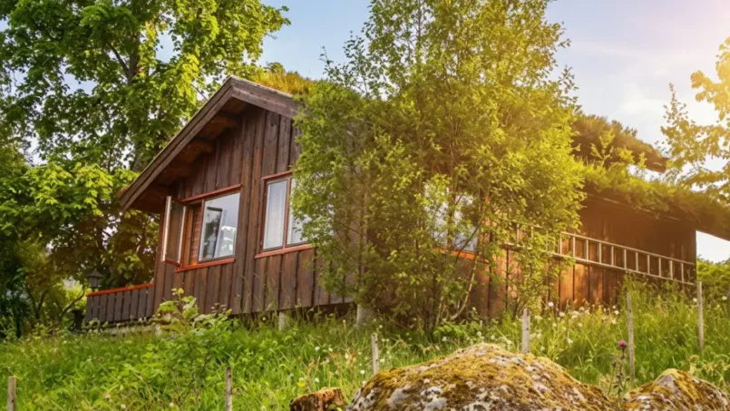 Ferienhaus4-onkentours-roedvenfjord-angelreisen-norwegen